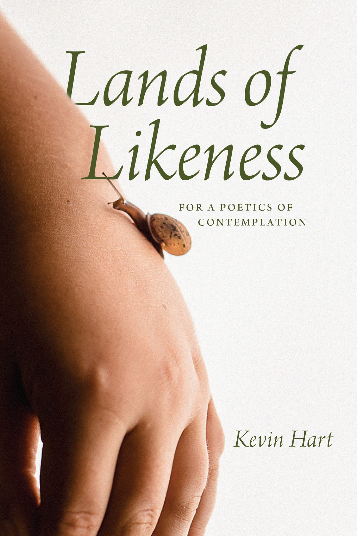 Lands of Likeness: For a poetics of contemplation